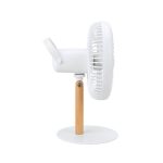 Oscillating Fan-2