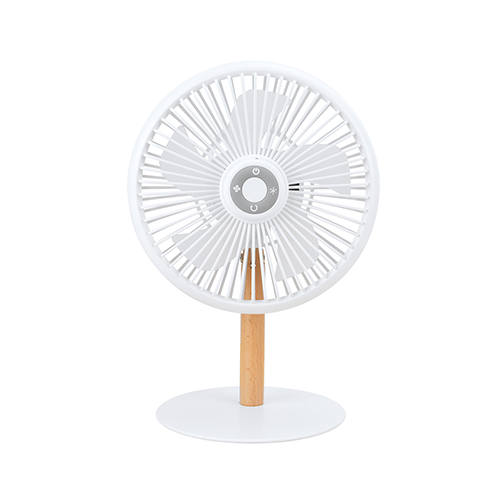 Table Fan TF-300